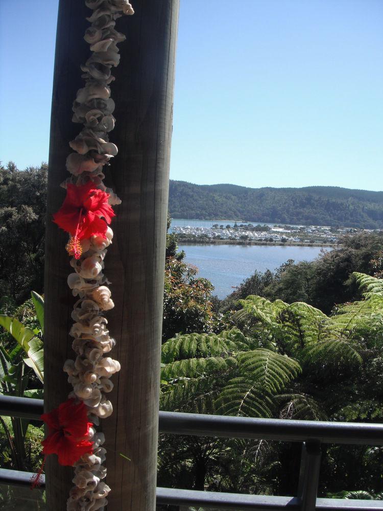 Whangamata Vistas B&B Exterior photo